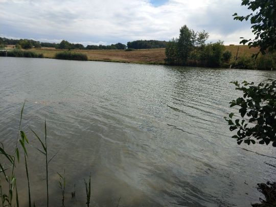 Talsperre Königsfeld angeln