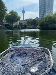 Spee'scher Graben (Düsseldorf)-3