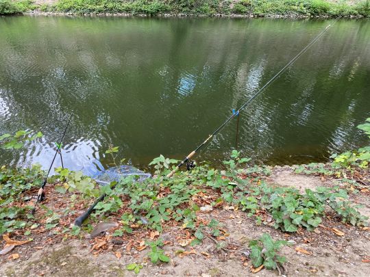 Spee'scher Graben (Düsseldorf)-1