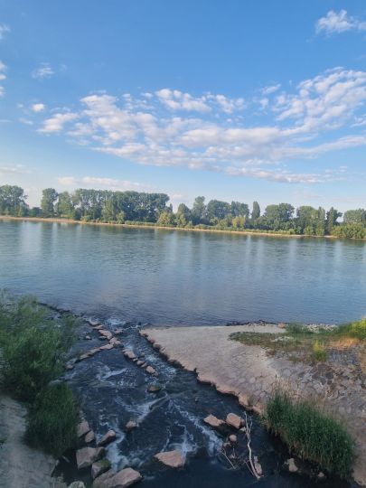 Rhein (Worms)-3