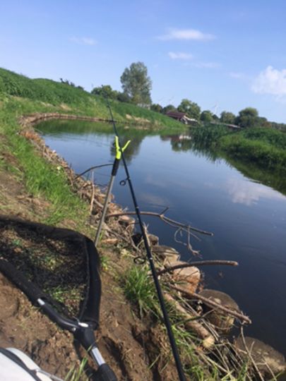 Tollense (Altentreptow)-1