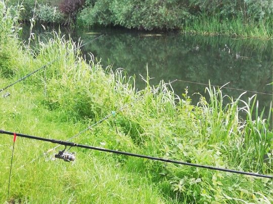 Tollense (Altentreptow)-4