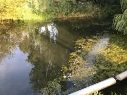 Tollense (Altentreptow)-3