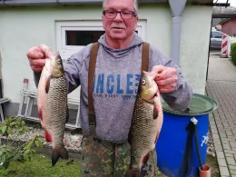 Tollense (Altentreptow)