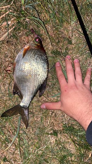 Axtbach (Warendorf)-2