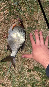 Axtbach (Warendorf)-2