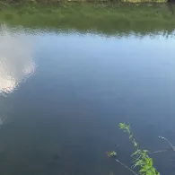 Axtbach (Warendorf)-4