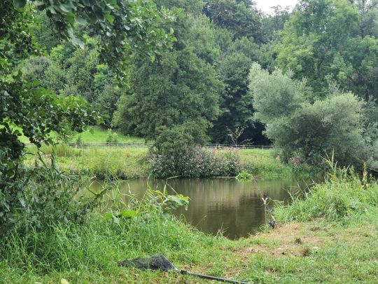 Schmutter (Westendorf)-2