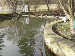 Schmutter (Westendorf)-3