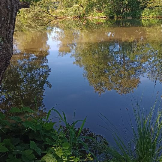 Schmutter (Westendorf)-4