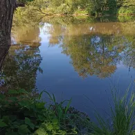 Schmutter (Westendorf)-4