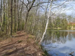 Hirschteich (Kolkwitz)-3