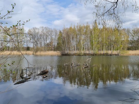 Hirschteich (Kolkwitz)-4