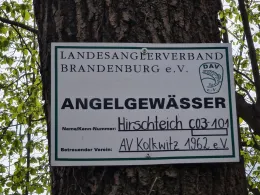 Hirschteich (Kolkwitz)-2