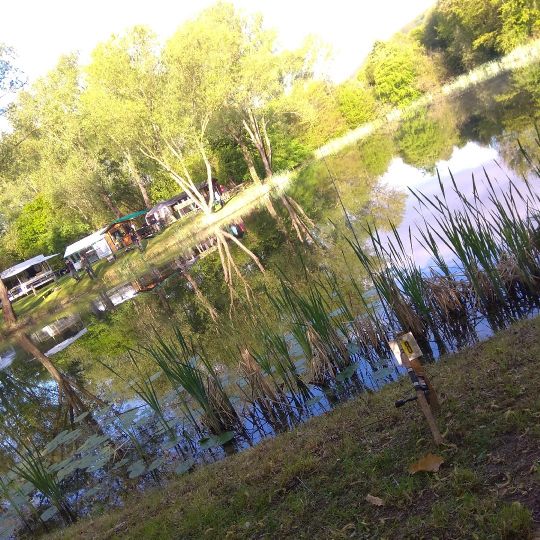 Froschteich (Hedemünden)