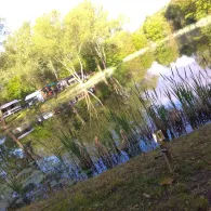 Froschteich (Hedemünden)