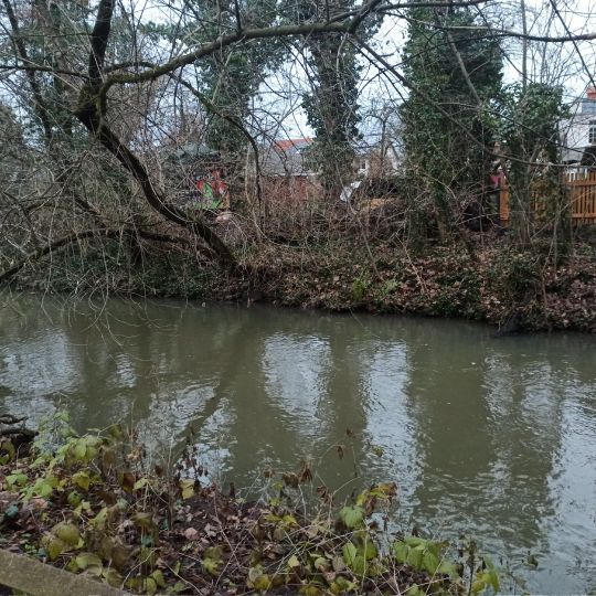 Mühlpleiße (Leipzig)-1