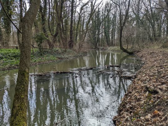 Mühlpleiße (Leipzig)-4