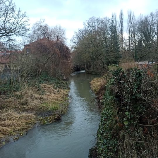 Mühlpleiße (Leipzig)-3