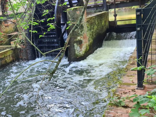 Mühlpleiße (Leipzig)-2