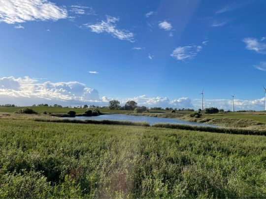 Biesenbruch (Wallmow)