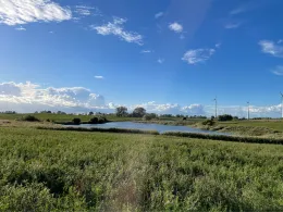 Biesenbruch (Wallmow)