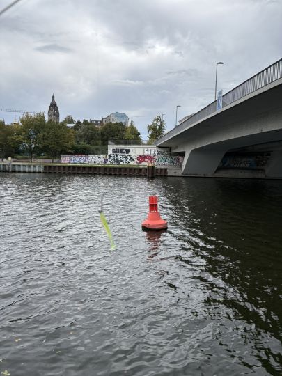 Spree (Berlin-Charlottenburg)-1