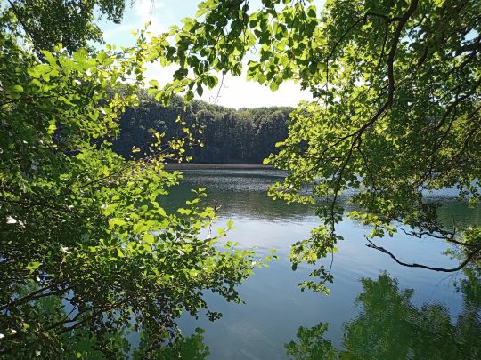 Bernshäuser Kutte-1