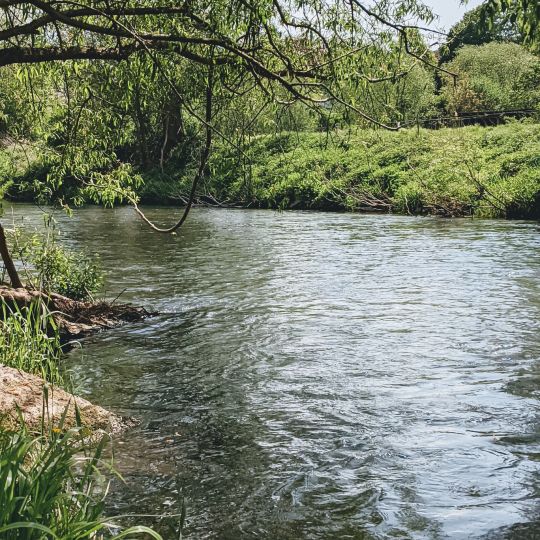 Diemel (Helmarshausen)-1