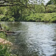 Diemel (Helmarshausen)-1