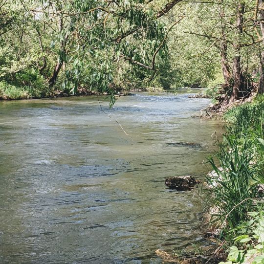 Diemel (Helmarshausen)-2