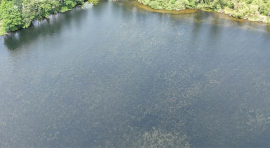 Liblarer See-4