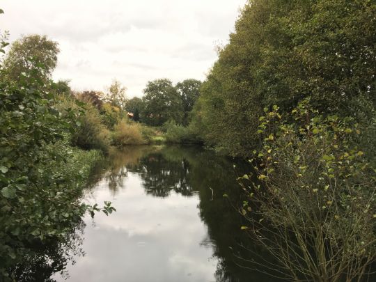 Dorfteich Ahneby