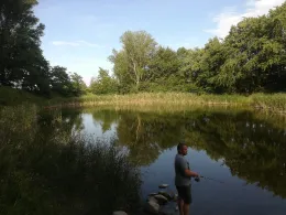 Pfütze (Tollwitz)-2