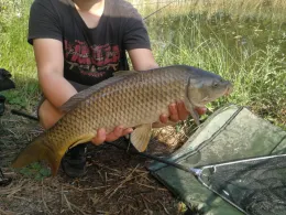 Pfütze (Tollwitz)-1