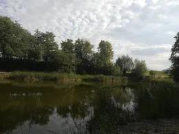 Pfütze (Tollwitz)-3