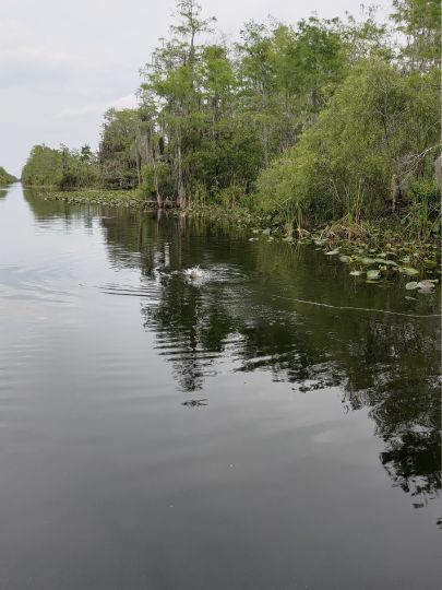 Tamiami River & Canal-1