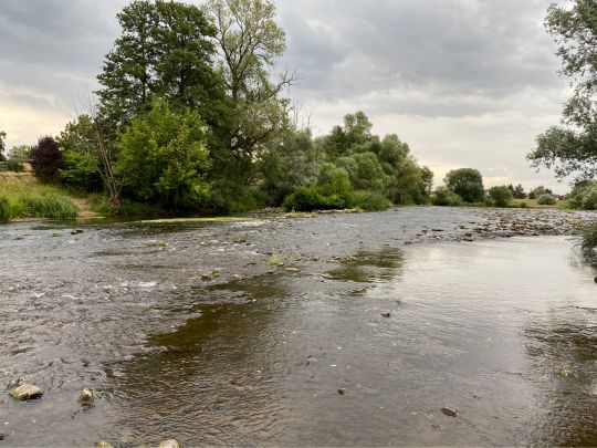 Nahe (Münster-Sarmsheim)