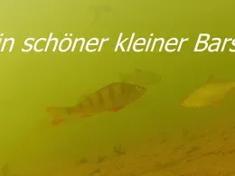 Westaue (Wunstorf)-2