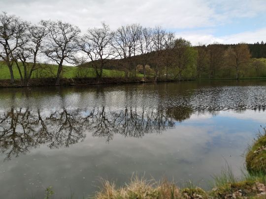 Berghäuser Weiher-3