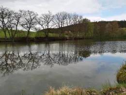 Berghäuser Weiher-2