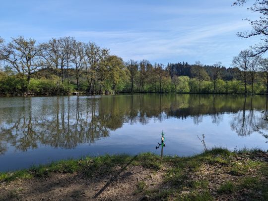 Berghäuser Weiher-1