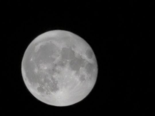 Treptowsee (Parchim)-1