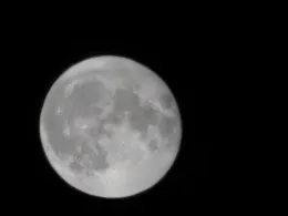 Treptowsee (Parchim)