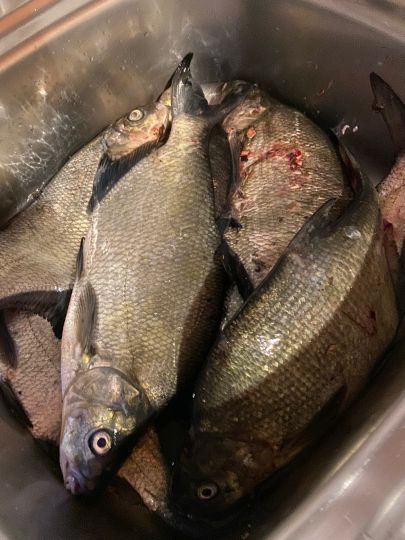 Stadthafen Rostock -4