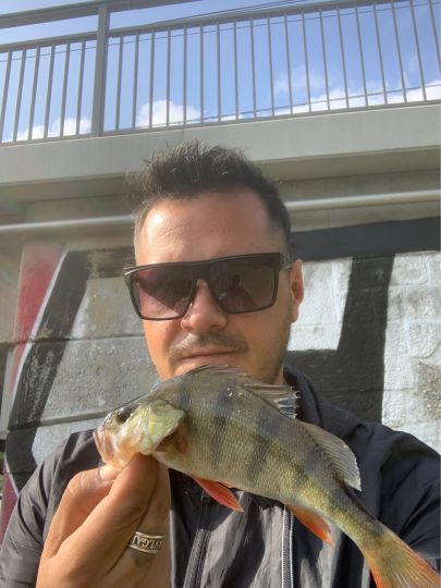 Stadthafen Rostock -2