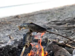 Bodensee (Wasserburg)