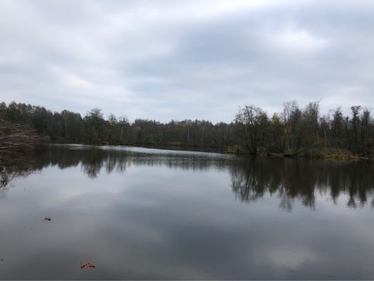 Stietensee (Briesen)-2