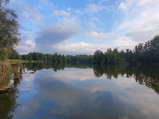 Stietensee (Briesen)-1