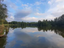 Stietensee (Briesen)-1